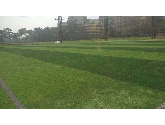 FS Turf, Churchgate  603354Web2-660x500