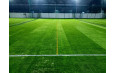 UMRB Turf, Azad Nagar